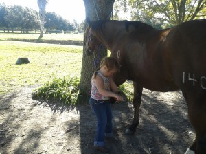 Check back soon for posts or sign up to receive updates!