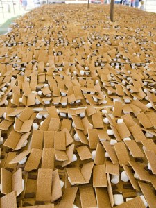 Smores_anyone_(6076559431)