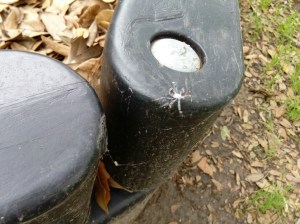 I have no idea what this thing is, though.  Anybody?