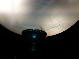 I took down another one inside this light fixture. He's still there - see?