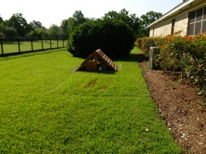 We move the coop a couple of times per week, which takes about 5 minutes.